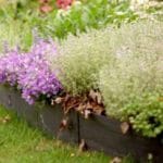 Бордюрная лента – варианты использования для сада и огорода