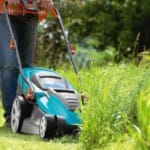 Выбираем электрическую газонокосилку или триммер для травы