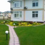 Особенности посадки газона на дачном участке