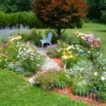 Клумба непрерывного цветения на вашей даче
