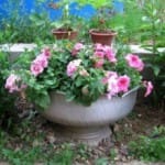 Создаем клумбы из старых покрышек своими руками