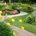 Создаем красивый газон на даче — дизайн и оформление