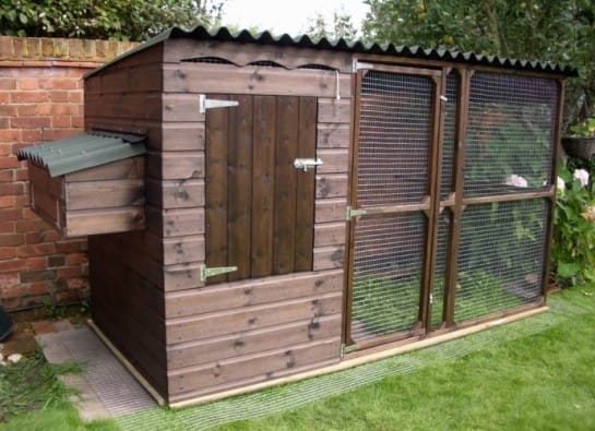 Мини курятник с внешним расположением гнезд