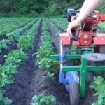 Окучивание картофеля мотоблоком: агротехническое обоснование и нюансы процесса