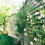 Опоры для вьющихся растений