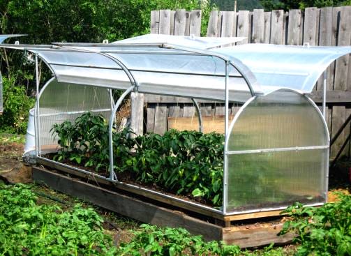 Парник-бабочка