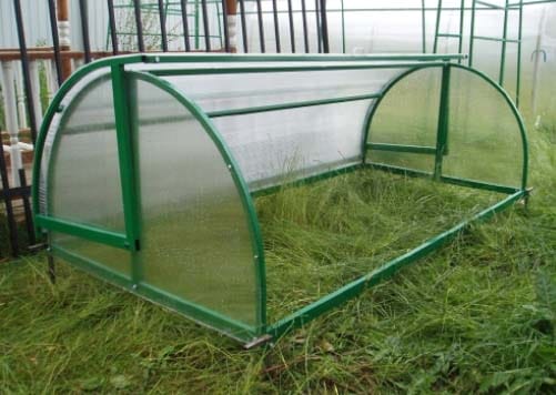 Парник-хлебница (улитка)