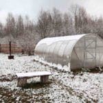 Подготовка теплицы к весне: обработка перед посадкой от вредителей и болезней