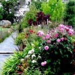 Работы в саду и огороде в сентябре