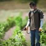 Опрыскиватели для сада и огорода: изучаем виды и характеристики