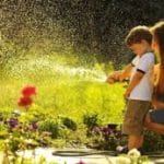 Какие шланги для полива лучше: виды и особенности выбора