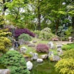 Стили оформления ландшафтного дизайна сада