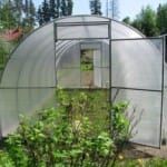 Сооружаем теплицу из поликарбоната своими руками